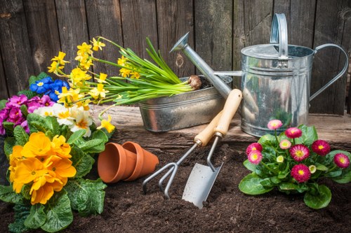 Tree removal services in Islington