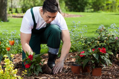Lawn mowing team arriving at a residential garden in Islington