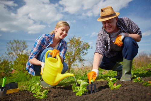 Healthy green lawn with expert care
