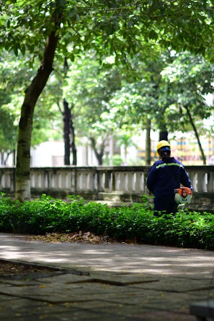A spacious urban park with well-maintained grassy lawns, winding pathways, and evenly spaced deciduous trees, some with budding leaves. The park is surrounded by modern high-rise residential buildings